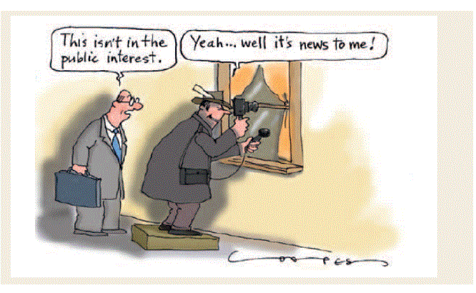 Figure 7: Public interest: in the eye of the beholder?